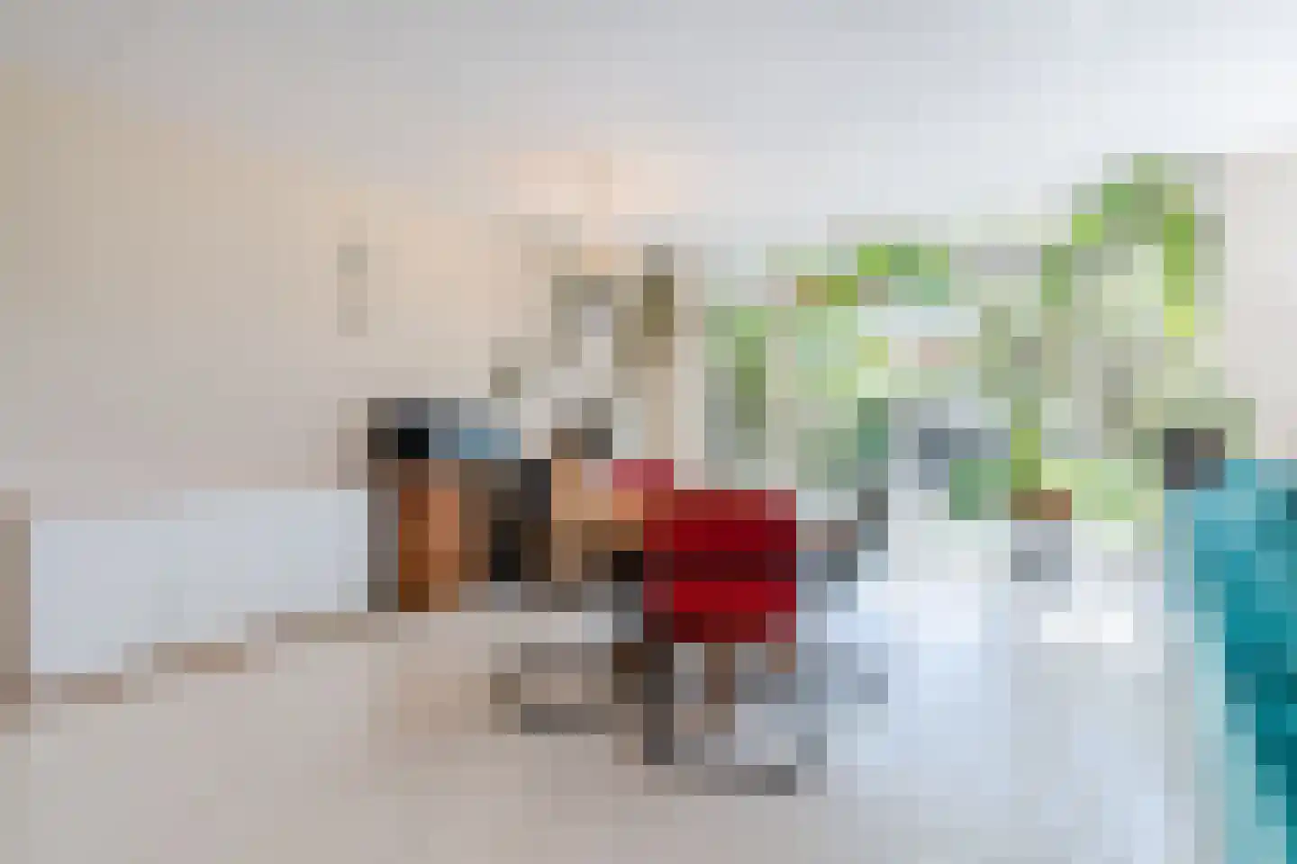 Grasplant 46 Eindhoven thumbnail 15