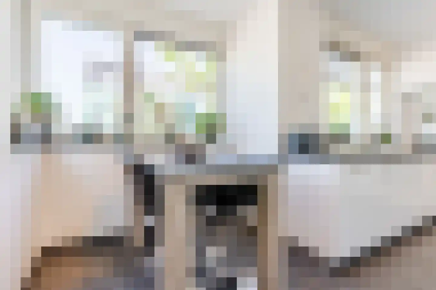 Grasplant 46 Eindhoven thumbnail 16