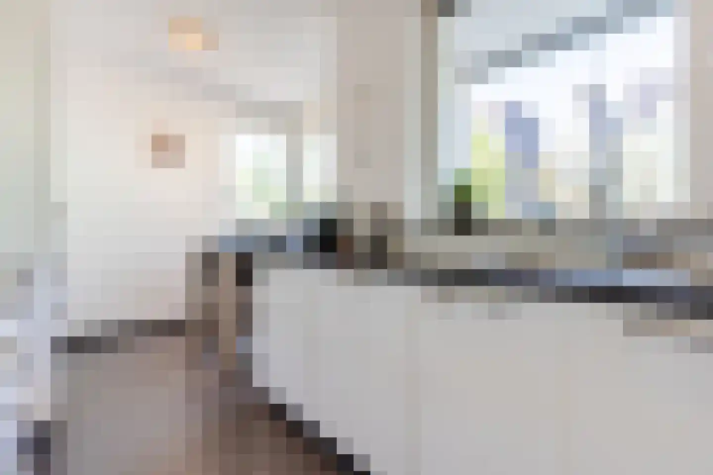 Grasplant 46 Eindhoven thumbnail 19