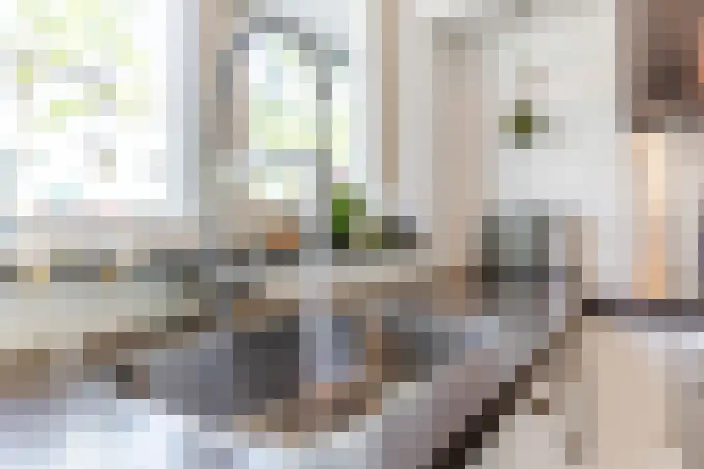 Grasplant 46 Eindhoven thumbnail 21