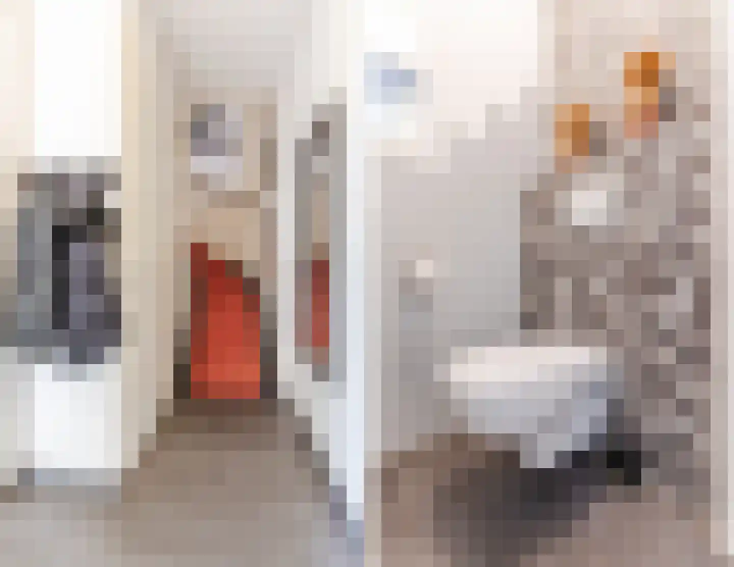 Grasplant 46 Eindhoven thumbnail 24