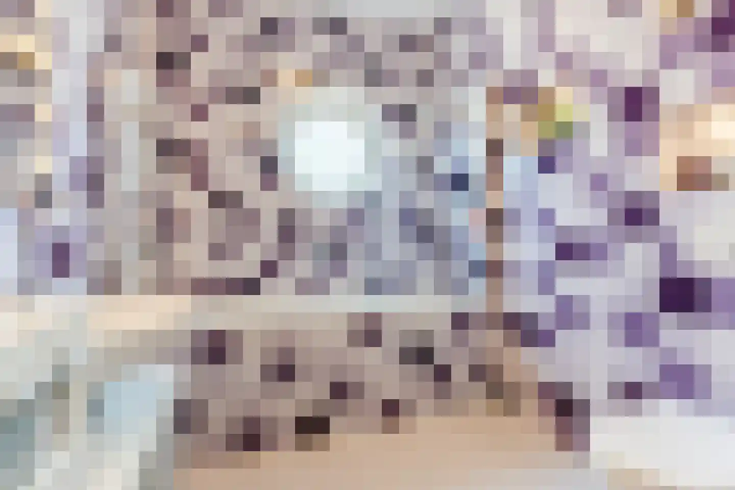 Grasplant 46 Eindhoven thumbnail 31
