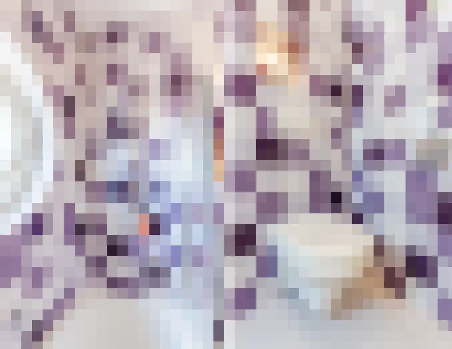 Grasplant 46 Eindhoven thumbnail 34