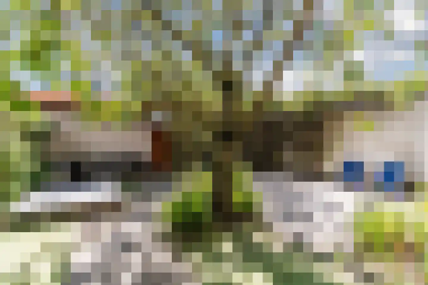 Grasplant 46 Eindhoven thumbnail 38