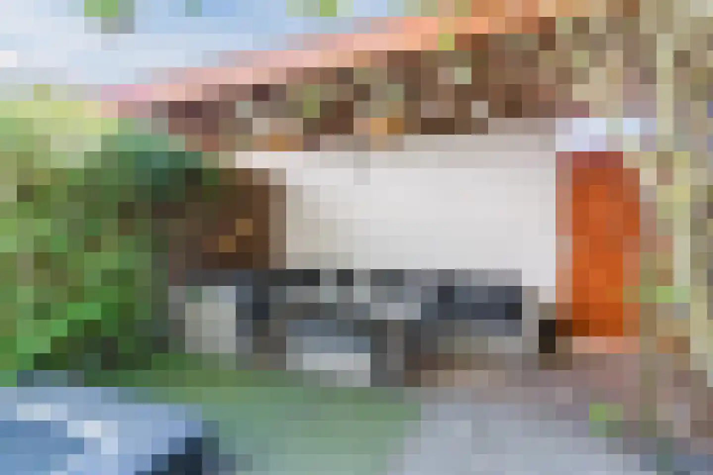 Grasplant 46 Eindhoven thumbnail 4