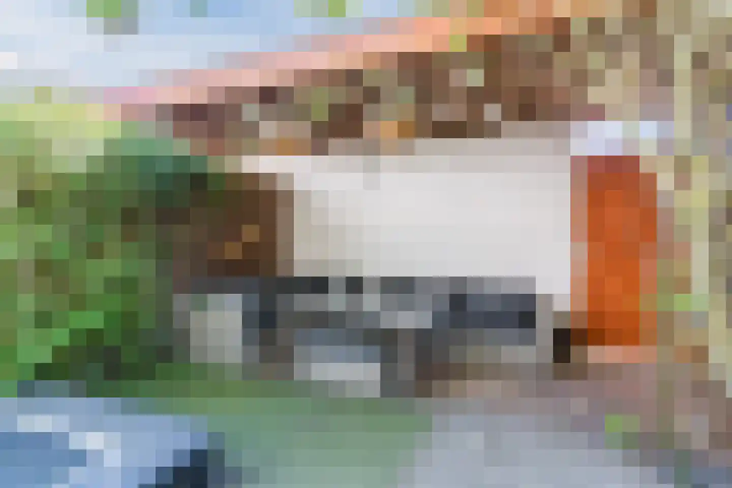 Grasplant 46 Eindhoven thumbnail 41