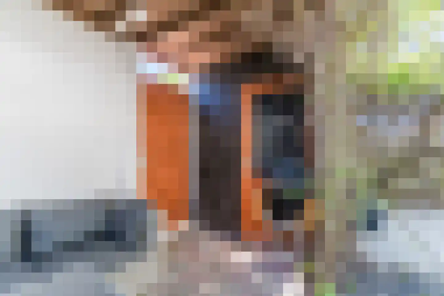 Grasplant 46 Eindhoven thumbnail 42
