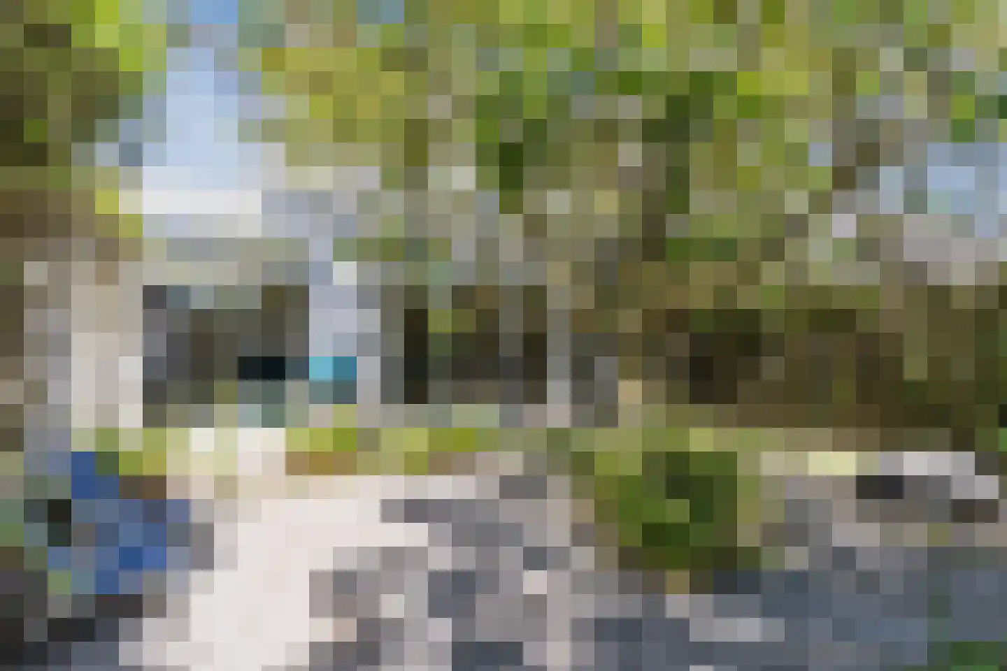 Grasplant 46 Eindhoven thumbnail 43