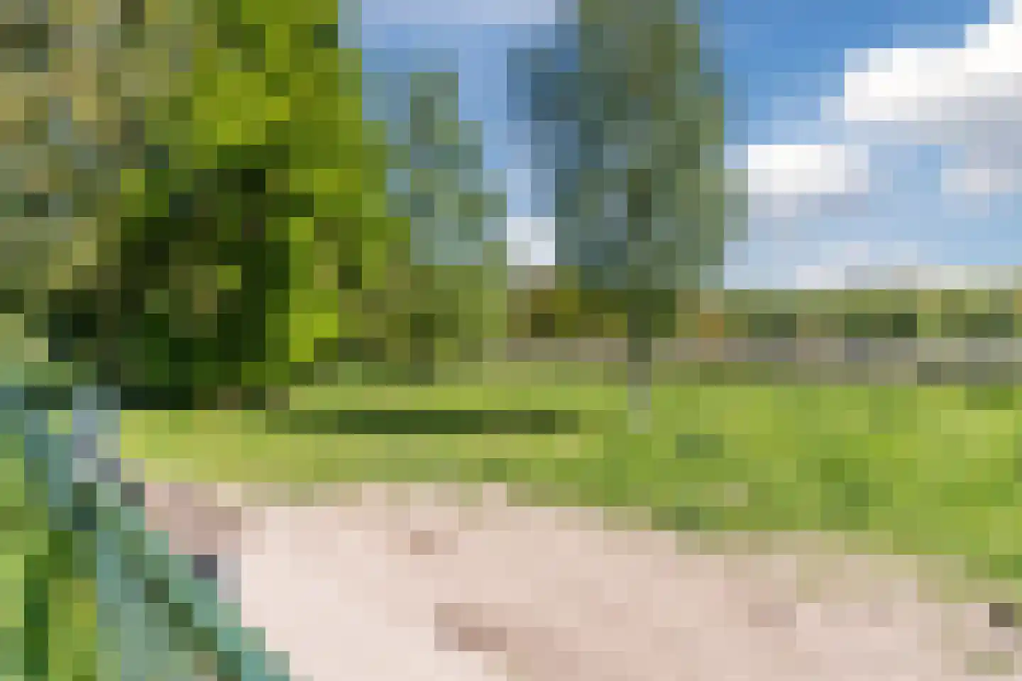 Grasplant 46 Eindhoven thumbnail 46
