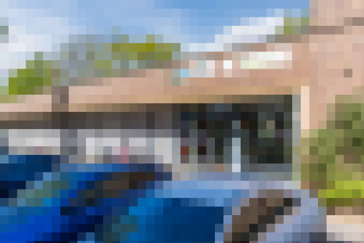 Grasplant 46 Eindhoven thumbnail 47