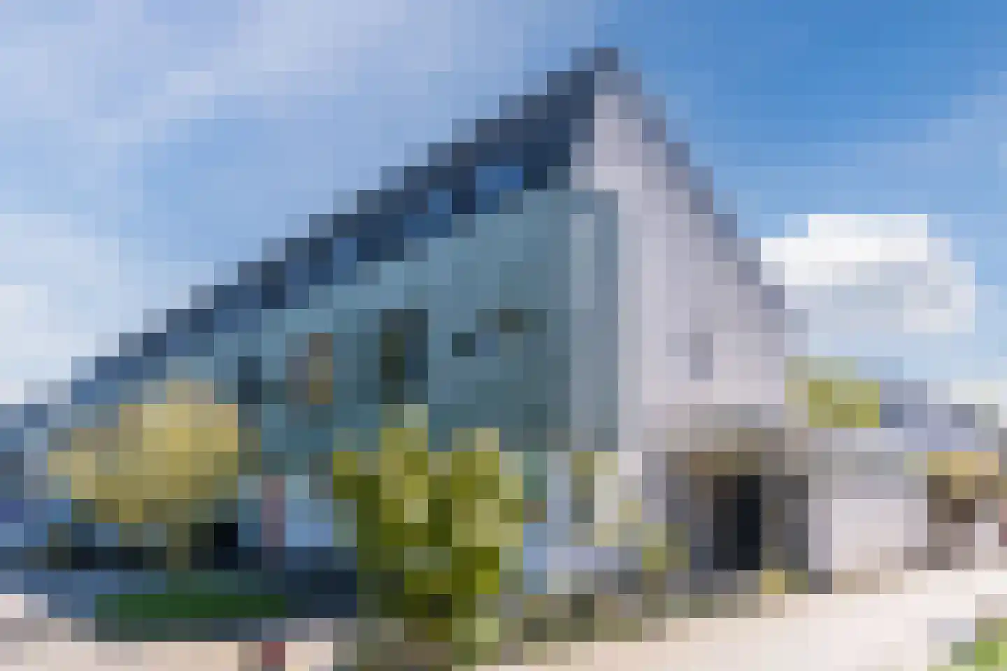 Grasplant 46 Eindhoven thumbnail 6