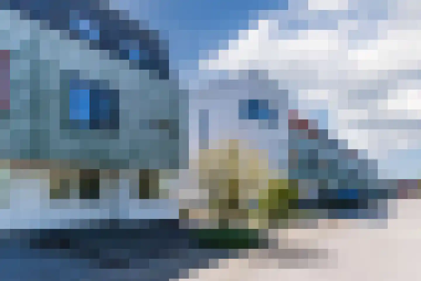 Grasplant 46 Eindhoven thumbnail 7