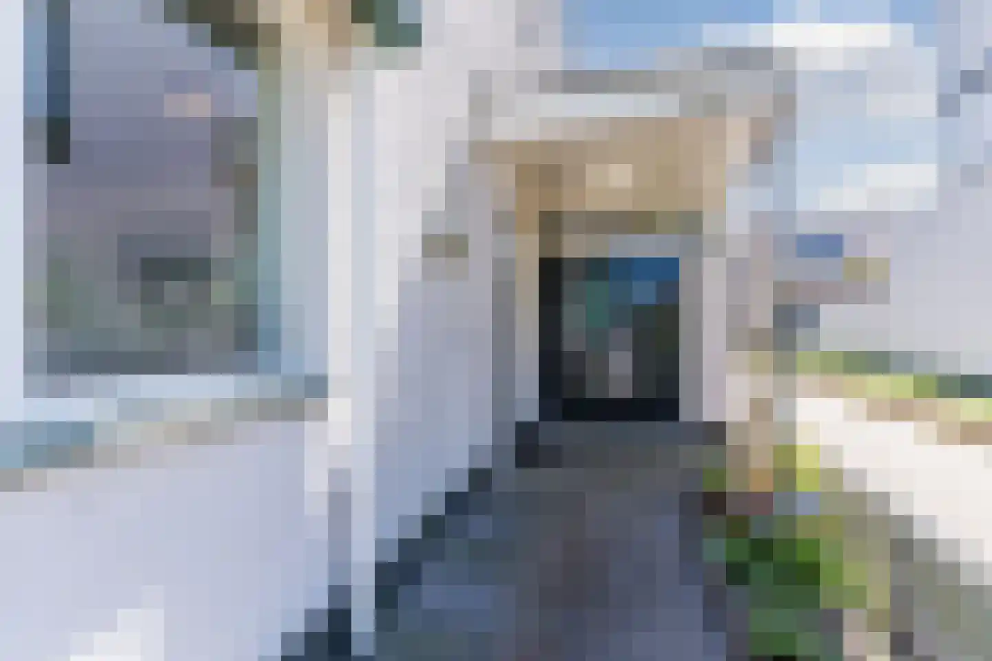Grasplant 46 Eindhoven thumbnail 8