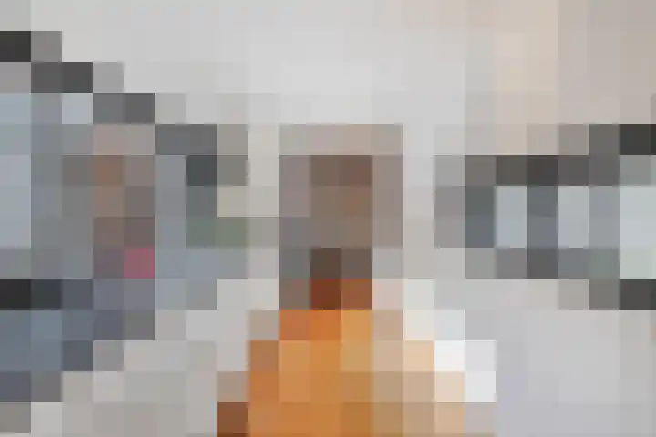 Grasplantsoen 24 Eindhoven thumbnail 19