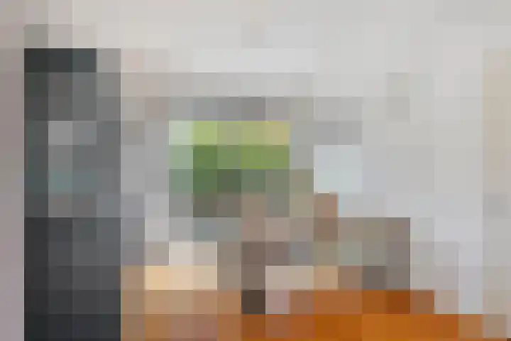 Grasplantsoen 24 Eindhoven thumbnail 21