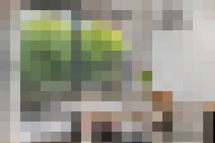 Grasplantsoen 24 Eindhoven thumbnail 22