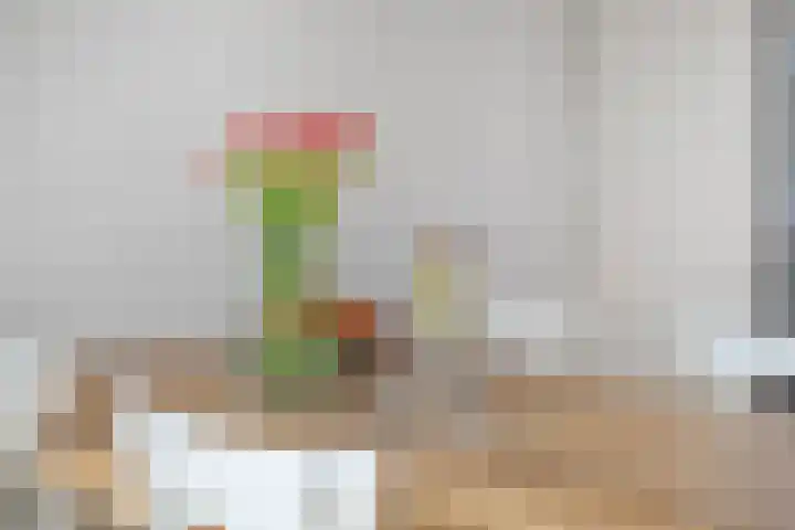Grasplantsoen 24 Eindhoven thumbnail 23