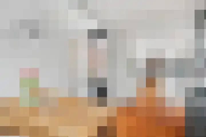 Grasplantsoen 24 Eindhoven thumbnail 24