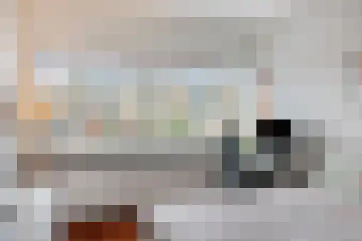 Grasplantsoen 24 Eindhoven thumbnail 27