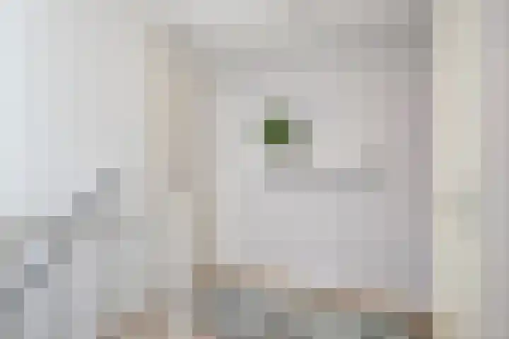 Grasplantsoen 24 Eindhoven thumbnail 29