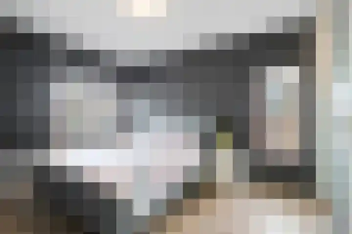 Grasplantsoen 24 Eindhoven thumbnail 31