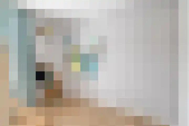 Grasplantsoen 24 Eindhoven thumbnail 36