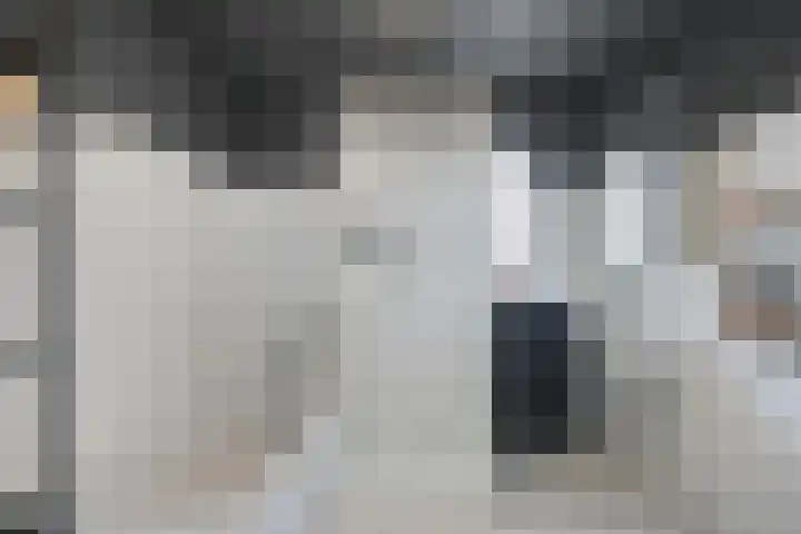 Grasplantsoen 24 Eindhoven thumbnail 37
