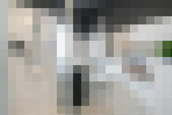 Grasplantsoen 24 Eindhoven thumbnail 38