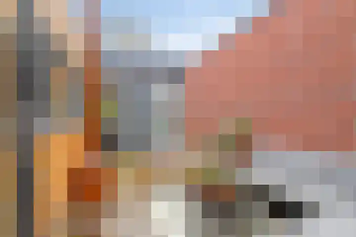 Grasplantsoen 24 Eindhoven thumbnail 40
