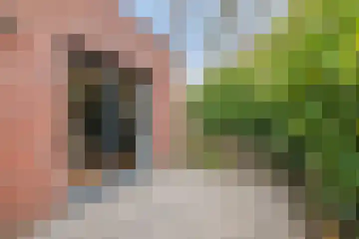 Grasplantsoen 24 Eindhoven thumbnail 43