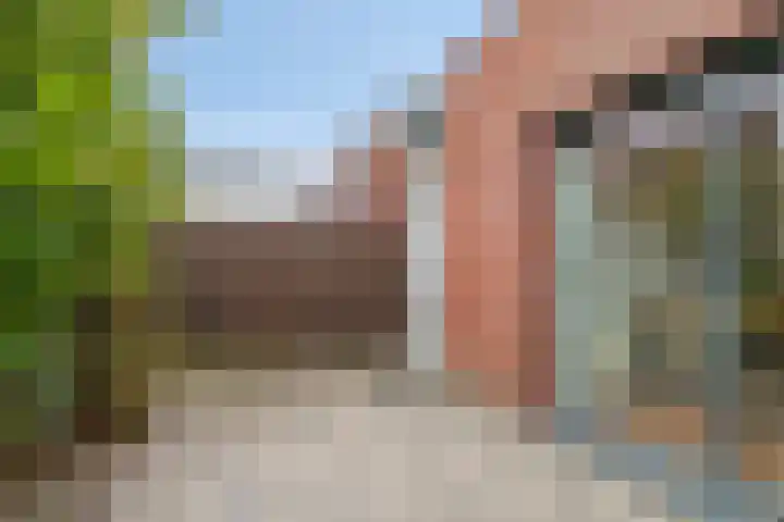 Grasplantsoen 24 Eindhoven thumbnail 44