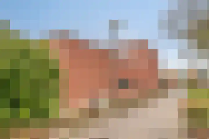 Grasplantsoen 24 Eindhoven thumbnail 46
