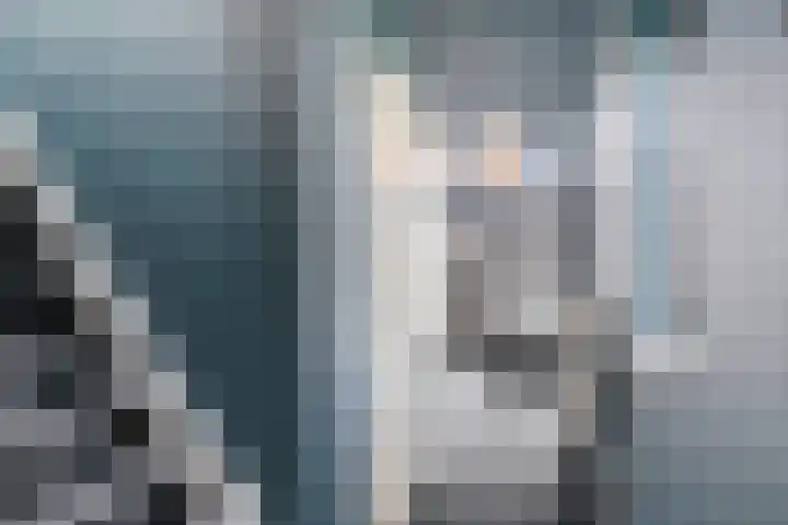 Grasplantsoen 24 Eindhoven thumbnail 7