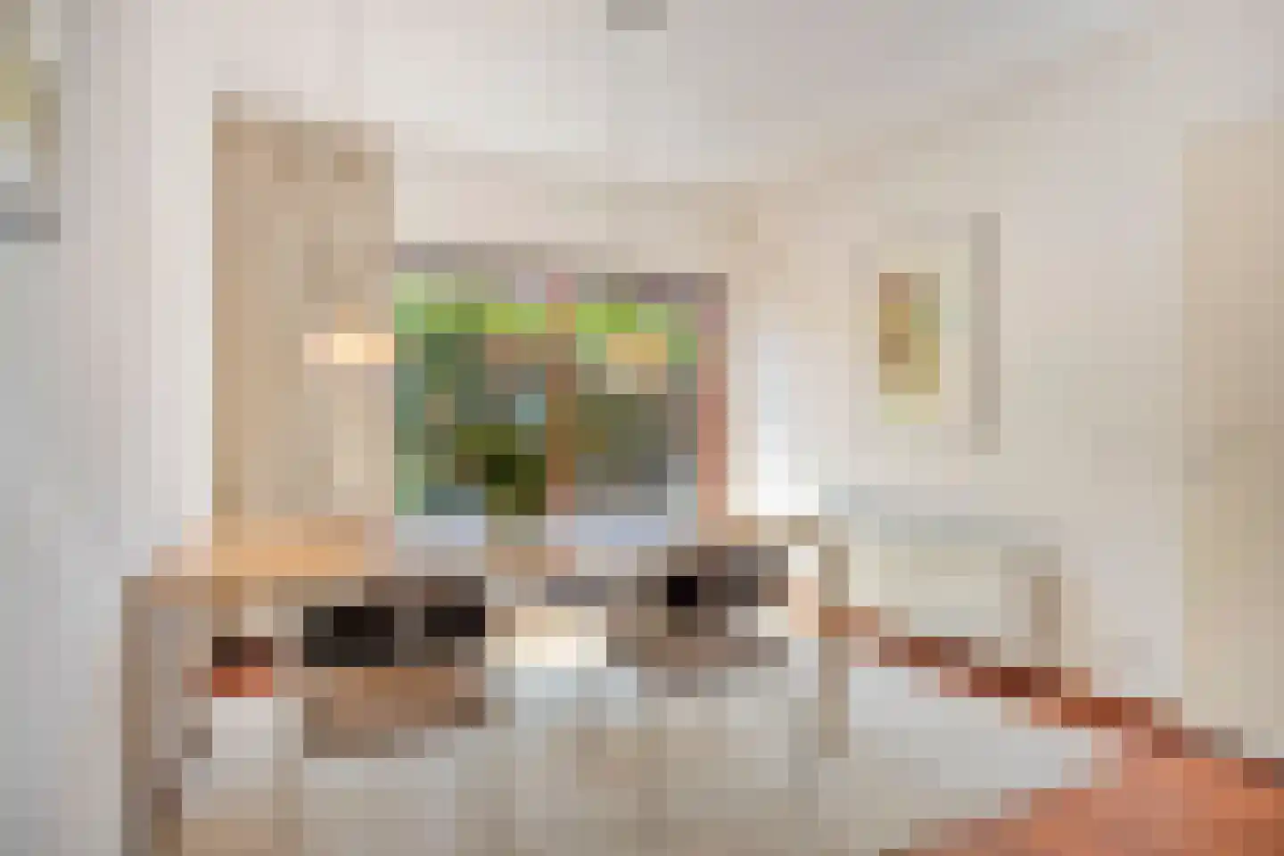 Grasplantsoen 4 Eindhoven thumbnail 17