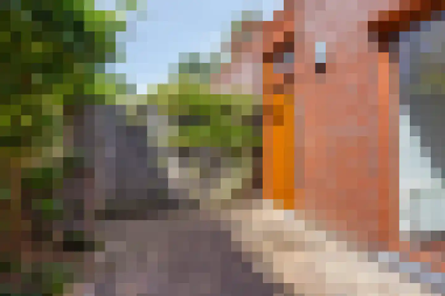 Grasplantsoen 4 Eindhoven thumbnail 35