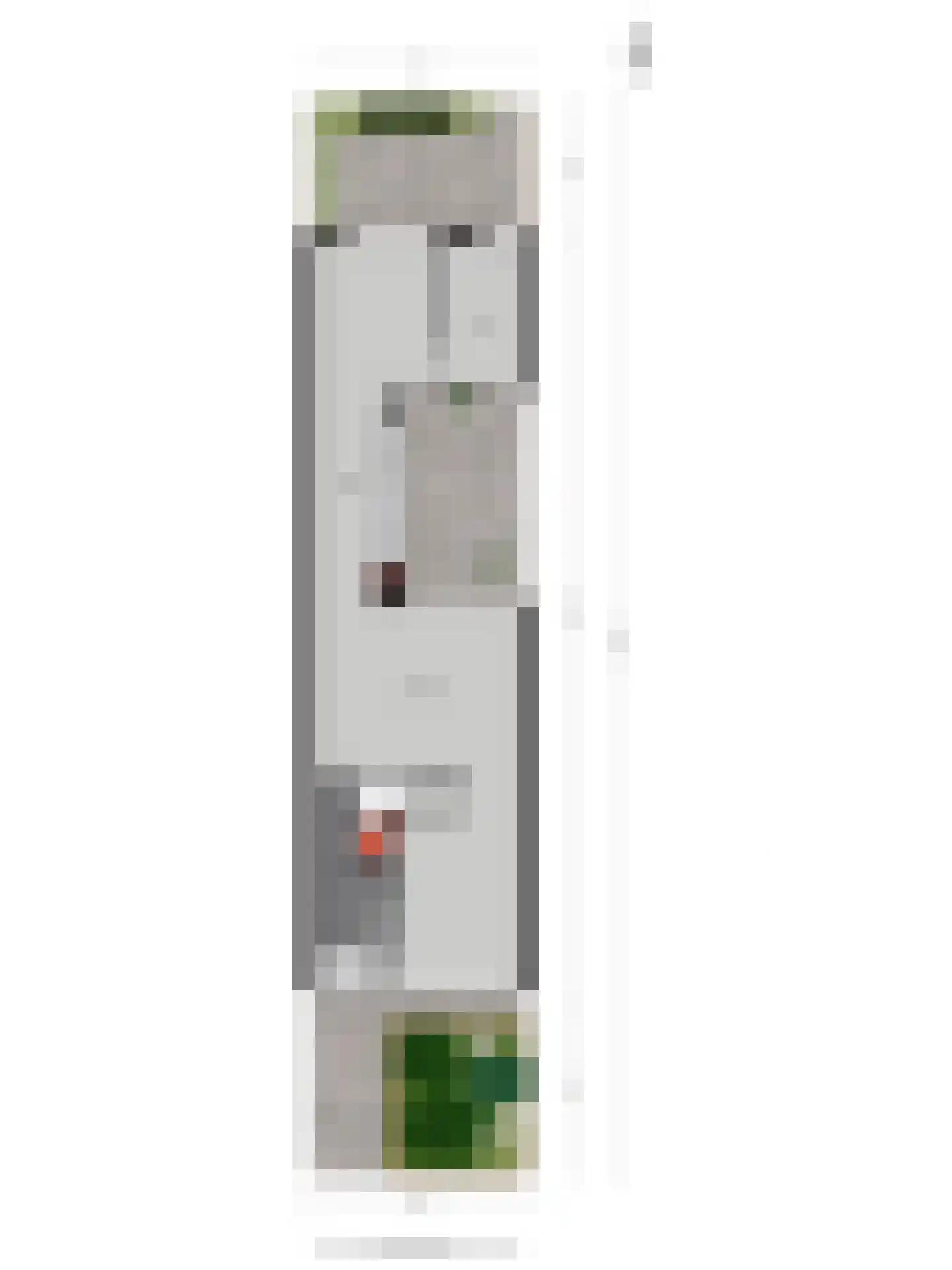 Grasplantsoen 4 Eindhoven thumbnail 43