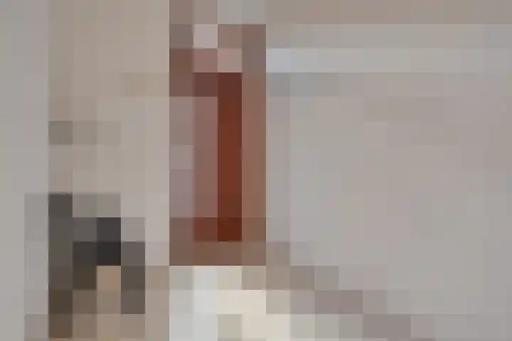 Grasplantsoen 44 Eindhoven thumbnail 17