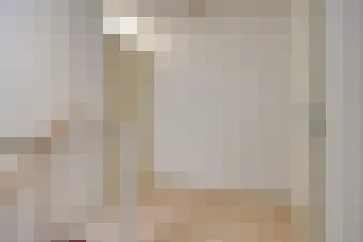 Grasplantsoen 44 Eindhoven thumbnail 20