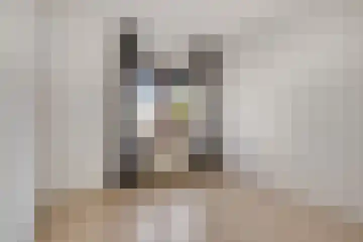 Grasplantsoen 44 Eindhoven thumbnail 21
