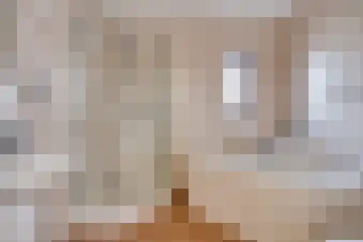 Grasplantsoen 44 Eindhoven thumbnail 23
