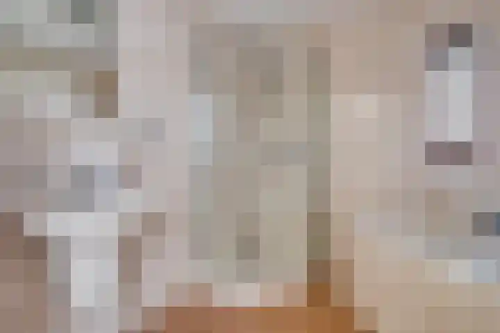 Grasplantsoen 44 Eindhoven thumbnail 24