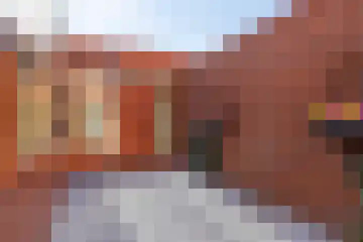 Grasplantsoen 44 Eindhoven thumbnail 28