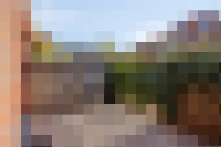Grasplantsoen 44 Eindhoven thumbnail 30