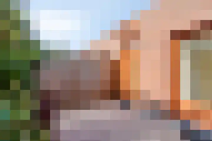 Grasplantsoen 44 Eindhoven thumbnail 32