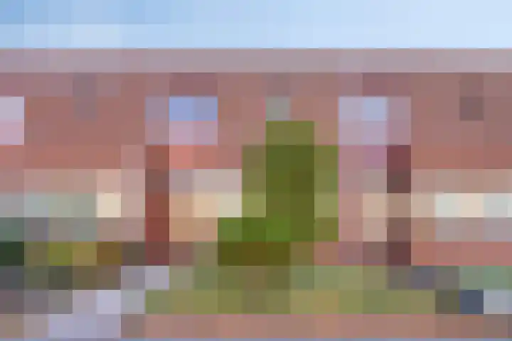 Grasplantsoen 44 Eindhoven thumbnail 38