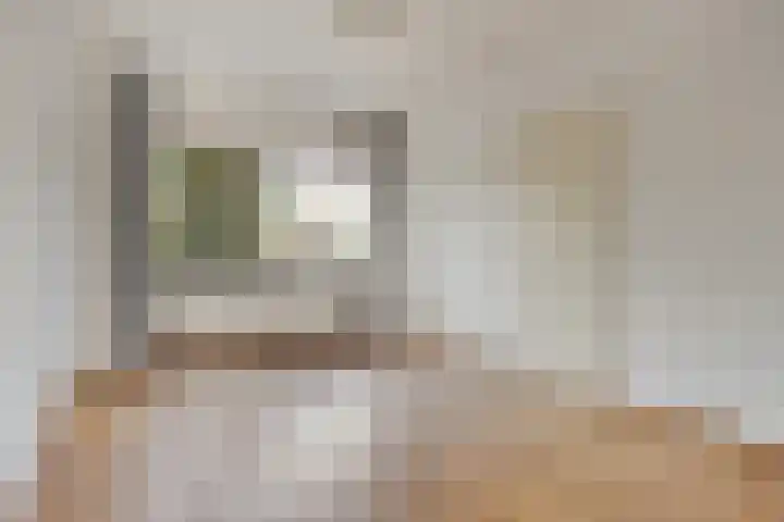 Grasplantsoen 44 Eindhoven thumbnail 4