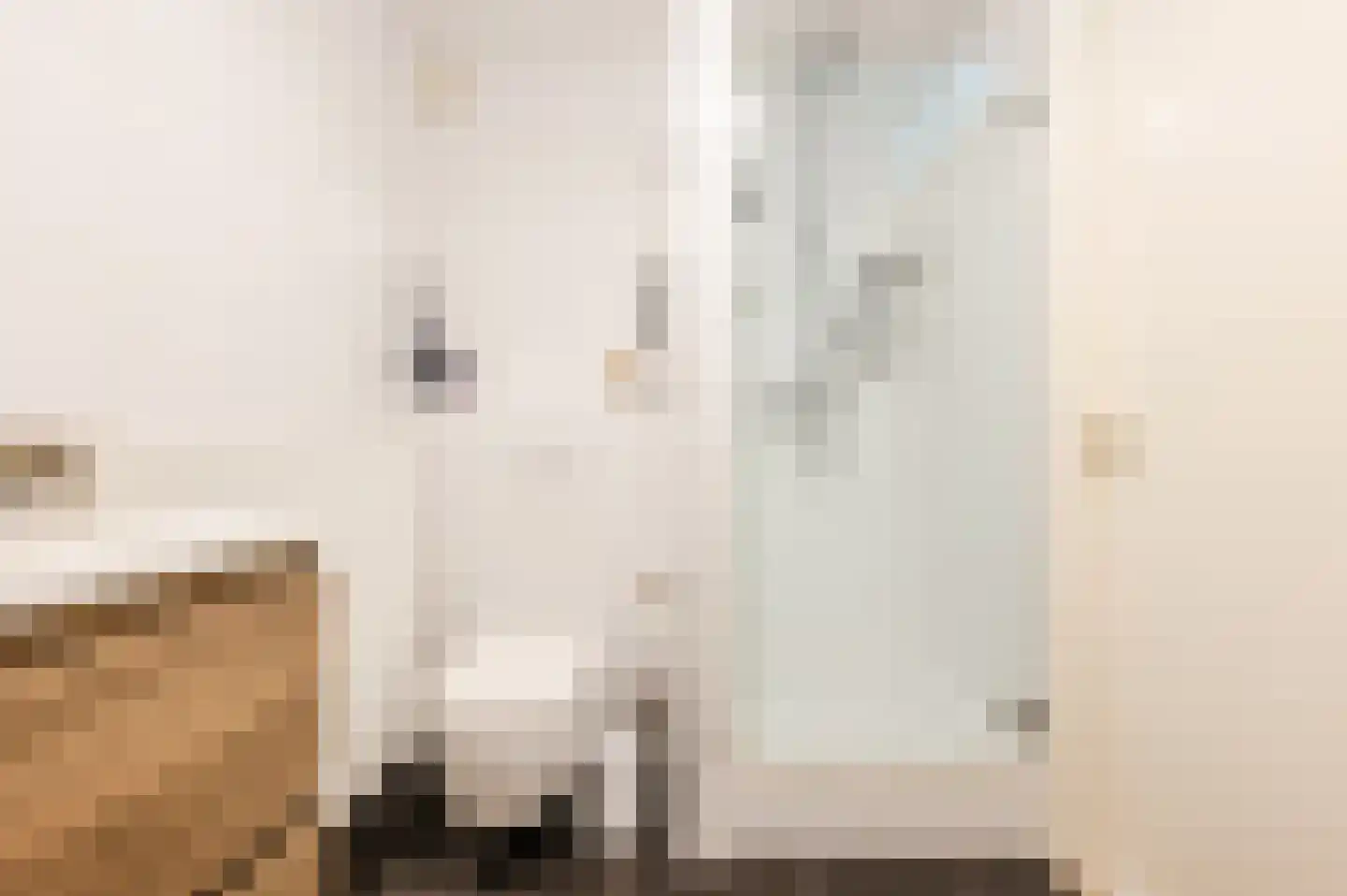 Grasplantsoen 49 Eindhoven thumbnail 20