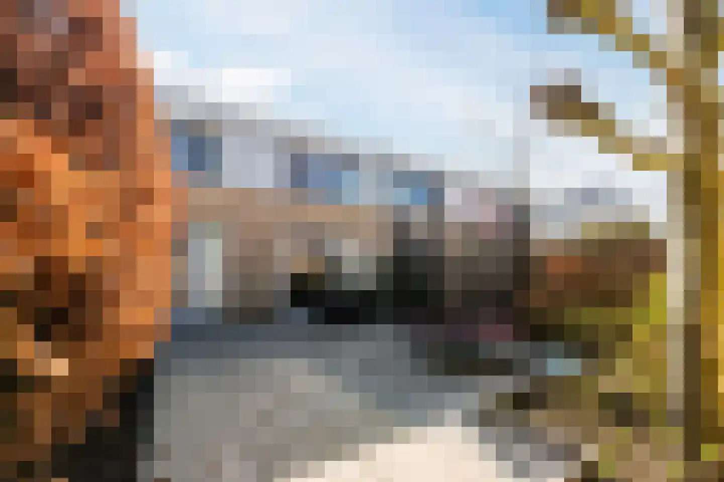 Grasplantsoen 49 Eindhoven thumbnail 22