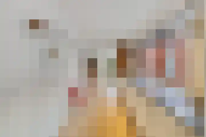 Grasplantsoen 8 Eindhoven thumbnail 13
