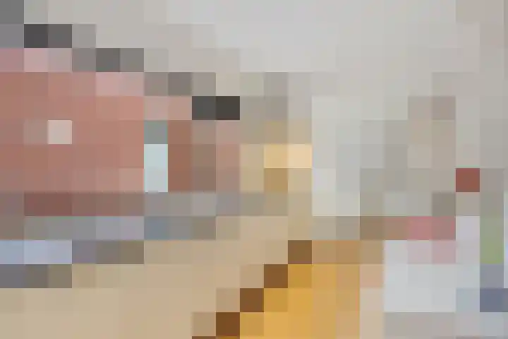 Grasplantsoen 8 Eindhoven thumbnail 15